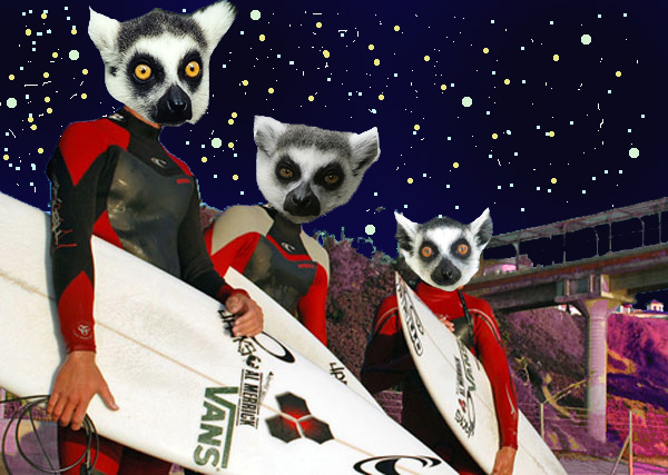  The Gudauskas Brothers are surfing in the dark.